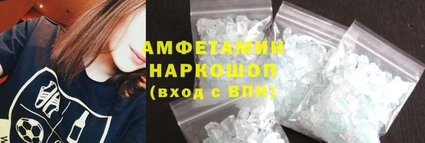 СК Алексин