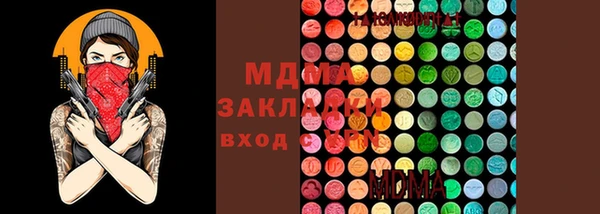 СК Алексин