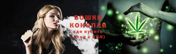 винт Няндома