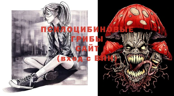 СК Алексин