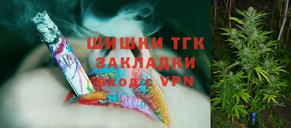 СК Алексин